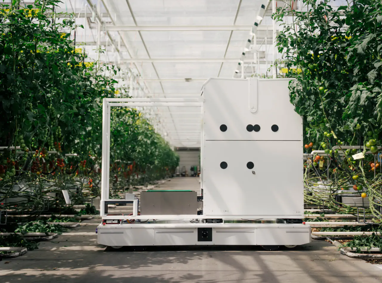 Harvester in greenhouse