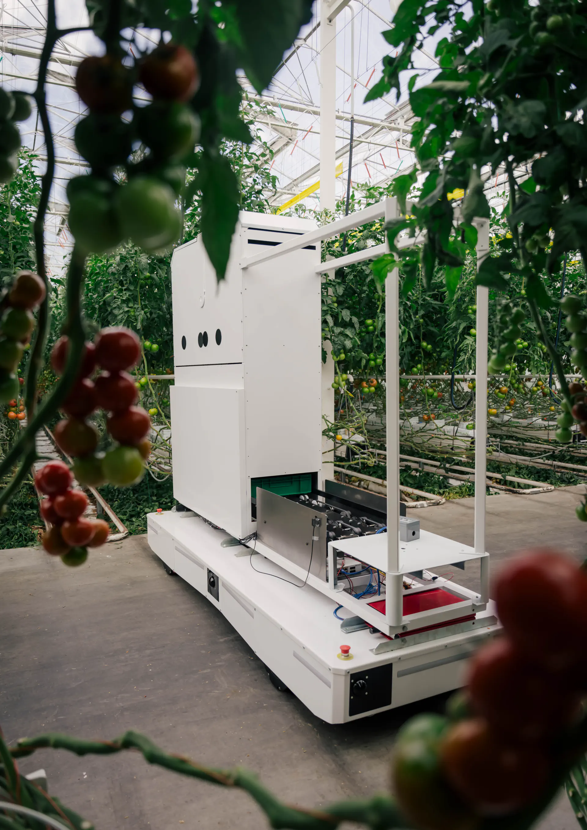 Harvester robot overview in greenhouse